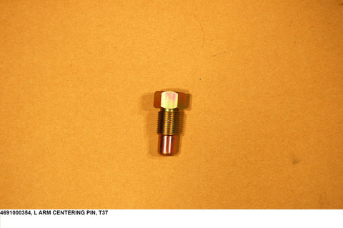 L Arm Centring Pin, T37